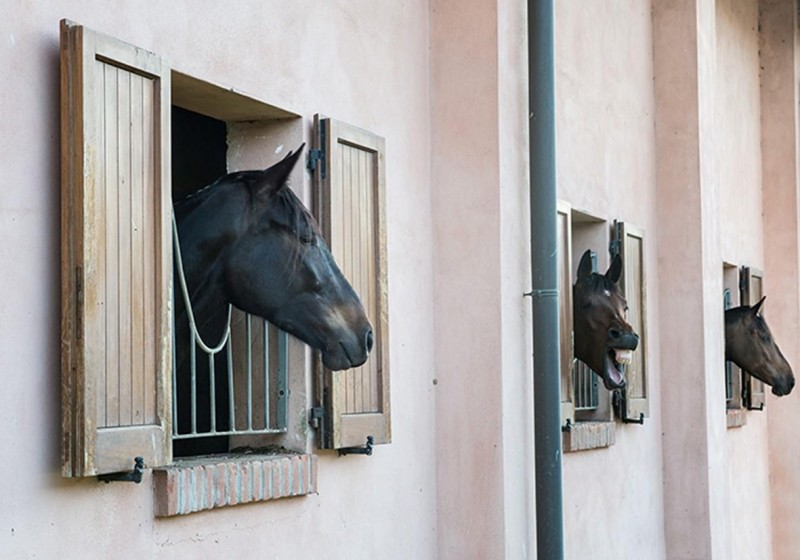 San Giacomo Horses & Agriturismo