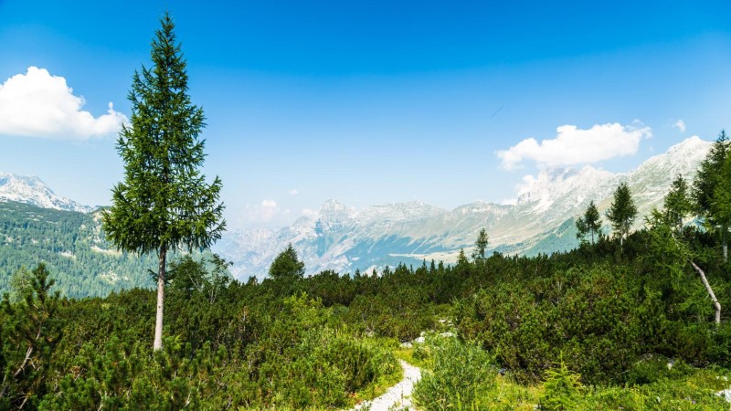 Le Dolomiti Friulane