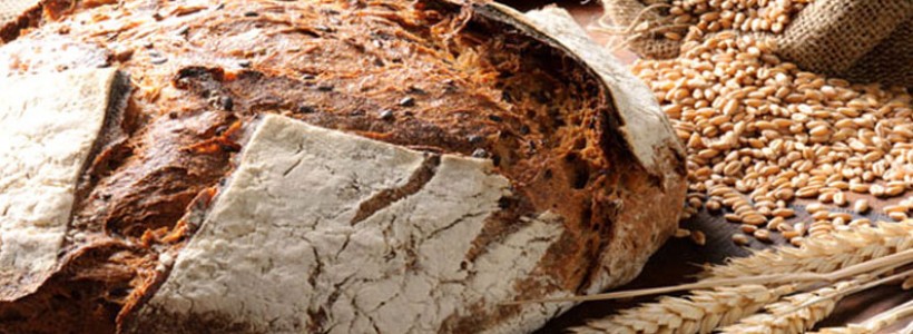 Altomonte Dieta Meidterranea Gran Festa del Pane