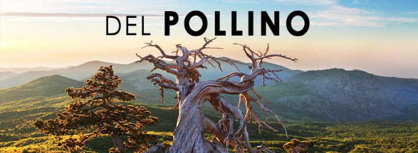 parco nazionale del pollinoturismosostenibilità ambientale